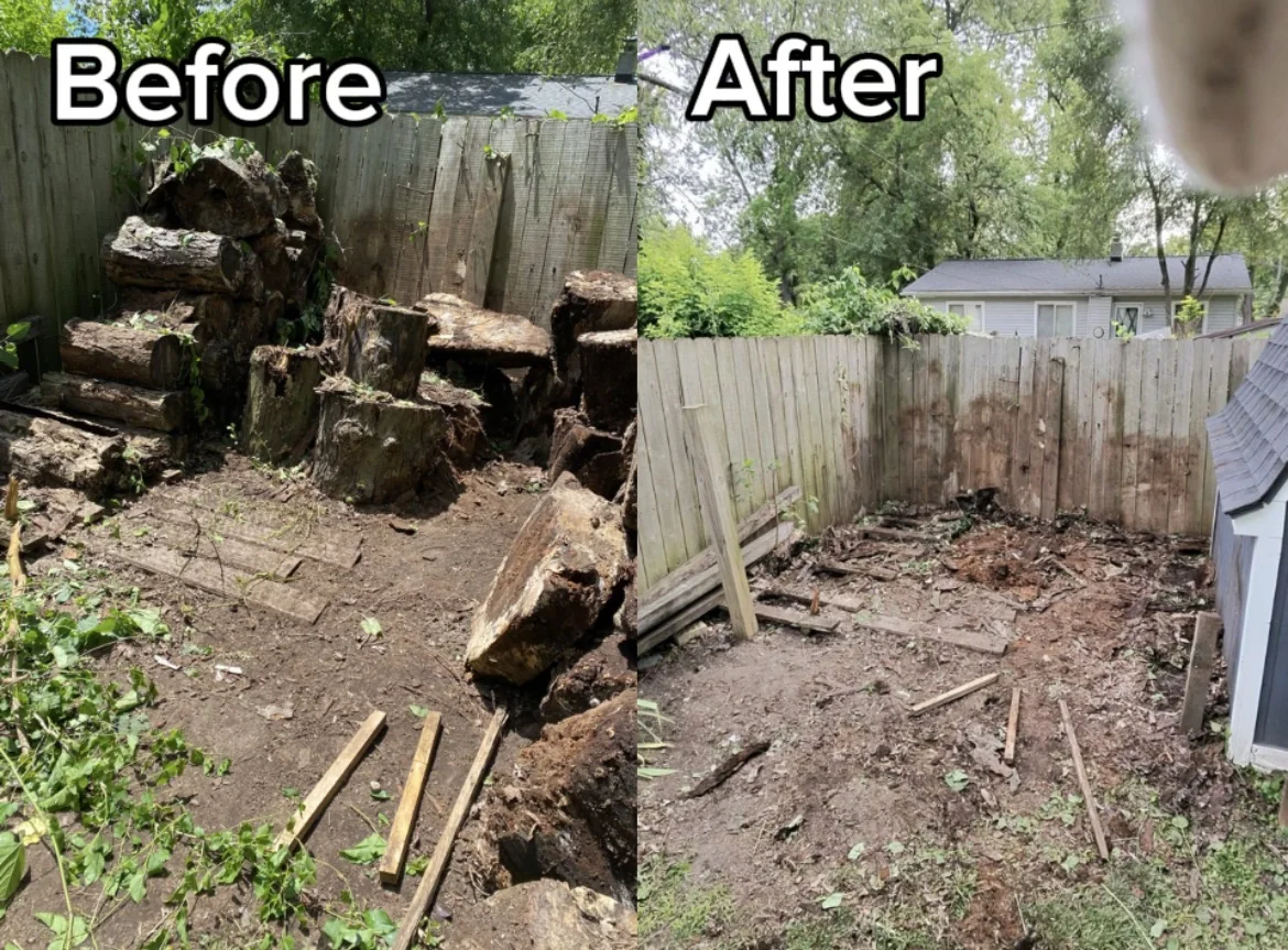 Paired before and after photos showing a pile of wood removed.