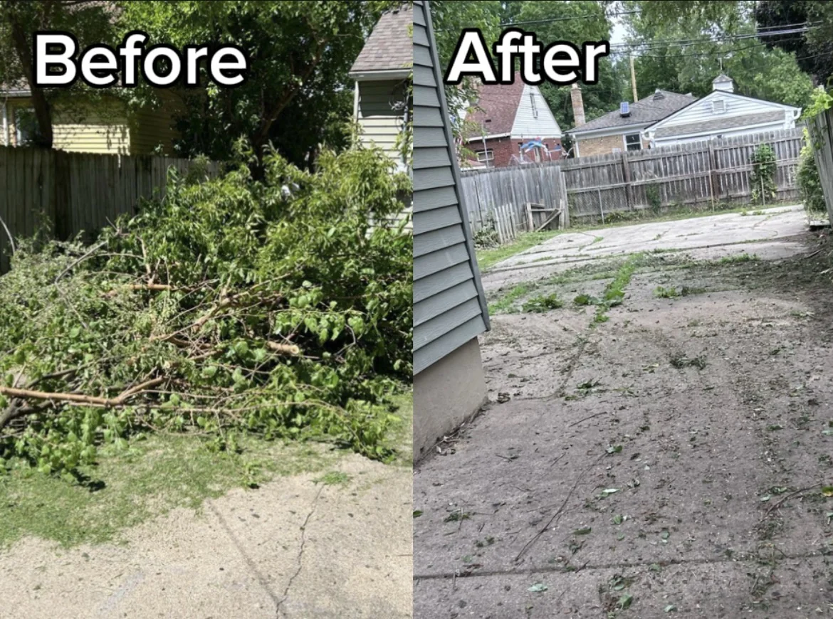 Paired before and after photos showing brush and yard debris removed.